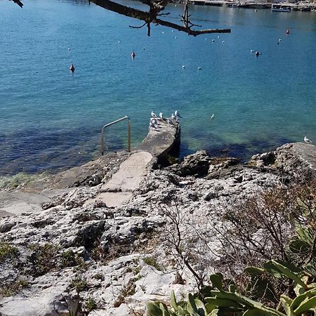 Villa Maja Trogir Exteriér fotografie